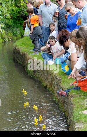 Lose Dorf in der Nähe von Maidstone, Kent, UK. 25. Mai 2015. Die jährlichen berühmten lose Dorf Entenrennen findet am Feiertag Montag statt. Plastikenten hinuntersausen Loose Brooks, der Bach durch das Dorf von einheimische als auch ausländische Besucher - Niederländisch, Spanisch und Tschechisch in der Menge Kredit gehört wurden beobachtet: PjrNews/Alamy Live News Stockfoto