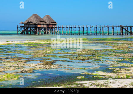 Hölzerne Pier und Strohdächer an einem tropischen Strand, Insel Sansibar Stockfoto