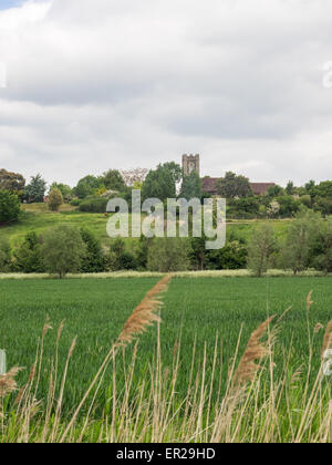 Grün-Ansicht Pfarrei des Chadwell St Mary Church of St Mary The Virgin Thurrock Essex England Britain Stockfoto