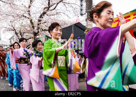 Ein Team reifer Frauen in Kimono-Kleidung singt und tanzt unter den Kirschblüten während der jährlichen Genji-Parade im Frühling in Tada in Japan. Stockfoto