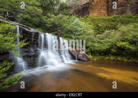 Wentworth falls, Oberteil Blue Mountains in Australien. Stockfoto