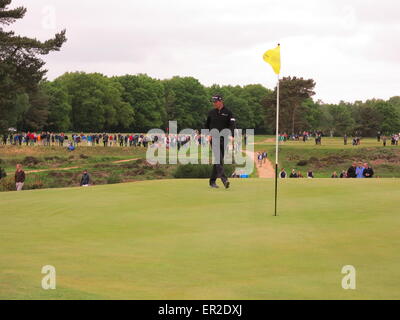 Walton Heath Golfclub, Surrey, UK. 25. Mai 2015.  Szenen aus den US Open golf Qualifying - hier Multi-Major-Sieger Padraig Harrington on 17. Credit: Motofoto/Alamy Live News Stockfoto