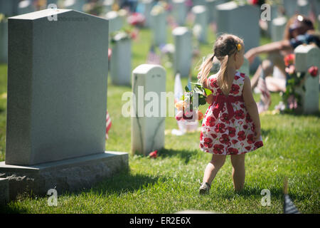 Arlington, Virginia, USA. 25. Mai 2015. Genevieve Kynaston, 3, trägt Rosen, wie sie vorbei an Grabsteine in Arlington Staatsangehörig-Kirchhof am Memorial Day 25. Mai 2015 in Arlington, Virginia geht. Bildnachweis: Planetpix/Alamy Live-Nachrichten Stockfoto