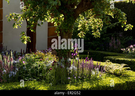 Licht des frühen Morgens auf Dichte Bepflanzung im The Morgan Stanley gesunde Städte Garten entworfen von Chris Beardshaw. Stockfoto