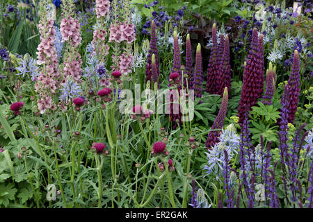 Eine Nahaufnahme von der Morgan Stanley gesunde Städte Garten entworfen von Chris Beardshaw bei der Chelsea Flower Show. Stockfoto