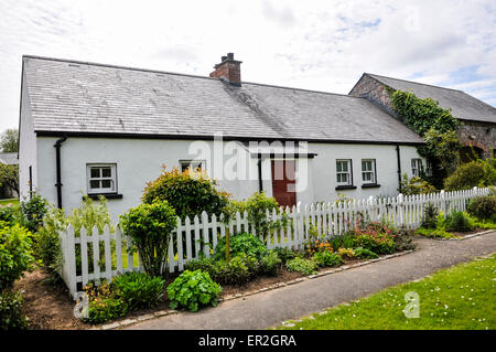 Weiß getünchte Irish Cottage mit weißen Lattenzaun Stockfoto