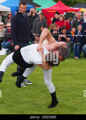 Bywell, UK. 25. Mai 2015. Cumberland und Westmorland Wrestling Wettbewerb auf der Northumberland County Show, eine traditionelle landwirtschaftliche zeigen mit Displays von Tieren, Produkten und Kunsthandwerk aus der Region. Cumberland Wrestling ist eine uralte und eingespielten Tradition im Bereich Norden von England. Bildnachweis: AC Bilder/Alamy Live-Nachrichten Stockfoto