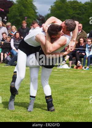 Bywell, UK. 25. Mai 2015. Cumberland und Westmorland Wrestling Wettbewerb auf der Northumberland County Show, eine traditionelle landwirtschaftliche zeigen mit Displays von Tieren, Produkten und Kunsthandwerk aus der Region. Cumberland Wrestling ist eine uralte und eingespielten Tradition im Bereich Norden von England. Bildnachweis: AC Bilder/Alamy Live-Nachrichten Stockfoto