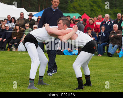 Bywell, UK. 25. Mai 2015. Cumberland und Westmorland Wrestling Wettbewerb auf der Northumberland County Show, eine traditionelle landwirtschaftliche zeigen mit Displays von Tieren, Produkten und Kunsthandwerk aus der Region. Cumberland Wrestling ist eine uralte und eingespielten Tradition im Bereich Norden von England. Bildnachweis: AC Bilder/Alamy Live-Nachrichten Stockfoto