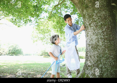 Glückliche japanischen Vater und Sohn fangen Insekten in einem Stadtpark Stockfoto