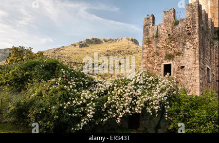 Ninfa, Latina, Lazio, Italien. Ein spektakuläre romantischen Landschaftsgarten inmitten der Ruinen eines mittelalterlichen Dorfes. Stockfoto