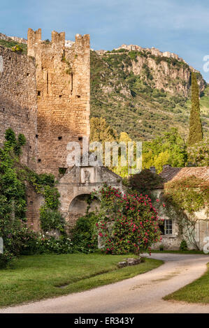 Ninfa, Latina, Lazio, Italien. Ein romantischer Garten inmitten der Ruinen eines mittelalterlichen Dorfes. Die Stadt Norma überblickt Ninfa Stockfoto