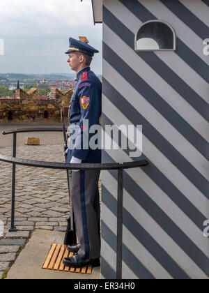 Prag, Tschechien - 2. Mai 2015: die Ehrenwache am Präsidentenpalast in der Pragerburg Stockfoto