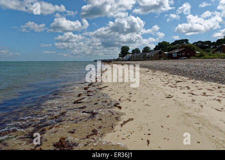 Am Strand, Meerblick, Isle of Wight, England, UK, GB Algen. Stockfoto