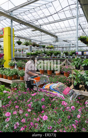 Frau shopping für Pflanzen in einem Gewächshaus Garten-Center.  -MODELL VERÖFFENTLICHT. Stockfoto