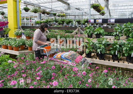 Frau shopping für Pflanzen in einem Gewächshaus Garten-Center.  -MODELL VERÖFFENTLICHT. Stockfoto