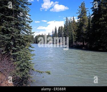 Blick entlang der Baum gesäumt Bow River, Banff Nationalpark, Alberta, Kanada. Stockfoto