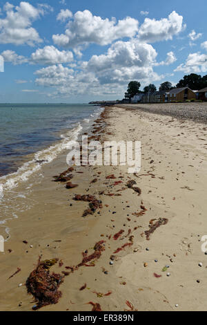 Am Strand, Meerblick, Isle of Wight, England, UK, GB Algen. Stockfoto