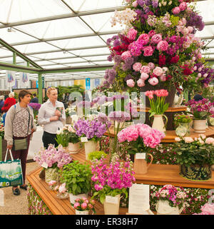 Chelsea Flower Show, im Inneren des großen Pavillons. Stockfoto