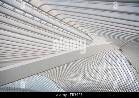 Europa, Belgien, Lüttich, Bahnhof Liège-Guillemins, Architekt Santiago Calatrava Europa, Belgien, Lüttich, Bahnhof Luett Stockfoto