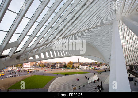 Europa, Belgien, Lüttich, Bahnhof Liège-Guillemins, Architekt Santiago Calatrava Europa, Belgien, Lüttich, Bahnhof Luett Stockfoto