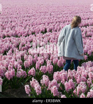 Mädchen zu Fuß durch ein Blumenfeld rosa Hyazinthe Stockfoto