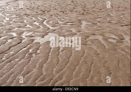 mäandernden Pools und Pfützen links in Schlick und Schlamm in der Themse-Mündung bei Erith bei Ebbe Stockfoto