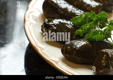 Armenische Yaprak Dolma, verlässt angefüllten Traube mit frischer Petersilie garniert Stockfoto