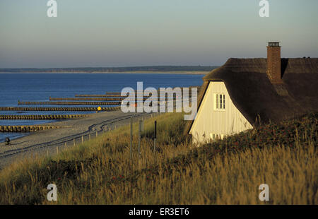 DEU, Deutschland, Mecklenburg-Vorpommern, Ahrenshoop an der Ostsee, Haus am Strand.  DEU, Deutschland, Mecklenburg-Vo Stockfoto