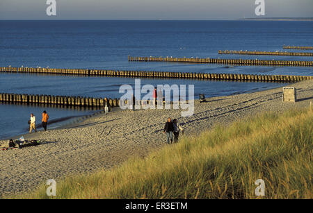 DEU, Deutschland, Mecklenburg-Vorpommern, Strand mit leisten in Ahrenshoop an der Ostsee.  DEU, Deutschland, Mecklenbu Stockfoto