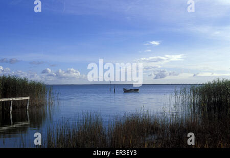 DEU, Deutschland, Mecklenburg-Vorpommern, Ahrenshoop an der Ostsee, den Saaler Bodden.  DEU, Deutschland, Mecklenburg-Vor Stockfoto