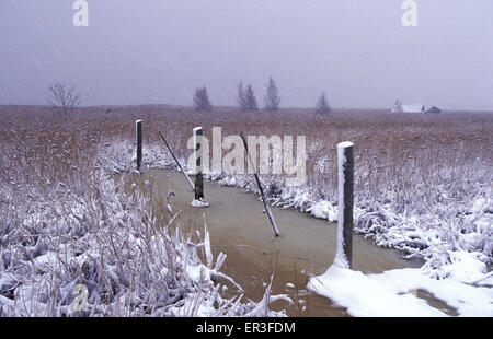 DEU, Deutschland, Mecklenburg-Vorpommern, Winter in Ahrenshoop an der Ostsee, an den Saaler Bodden.  DEU, Deutschland, mich Stockfoto