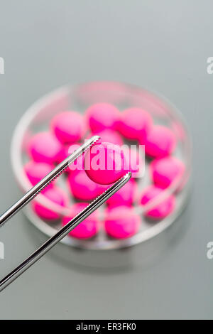 Drogen in Petrischalen warten auf Untersuchung, pharmazeutische Forschung. Stockfoto