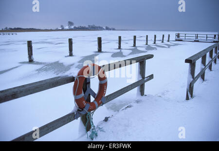 DEU, Deutschland, Mecklenburg-Vorpommern, Wustrow an der Ostsee winter am Hafen am Saaler Bodden.  DEU, Balticborg Stockfoto
