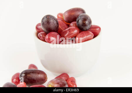 lila Trauben Vs lila Gummibärchen - Entscheidung zwischen gesunde Ernährung oder Junk-Food snack Stockfoto