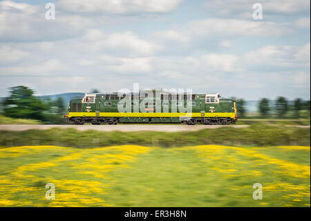 Deltic, Nr. D9009 "Alycidon" Kräfte entlang der Cross Country Strecke am Natton südlich von Ashchurch genommen um 1/30 Sekunde Stockfoto