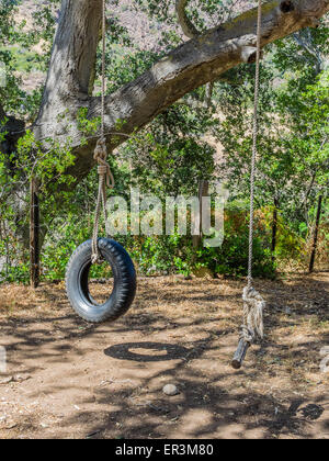 Ein Seil schwingen und eine Reifenschaukel findet im Ort an einem Baum hängen durch ein großes Seil. Stockfoto