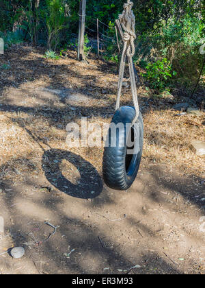 Eine Reifenschaukel wird an einem Baum hängen von einem großen Seil gehalten. Stockfoto