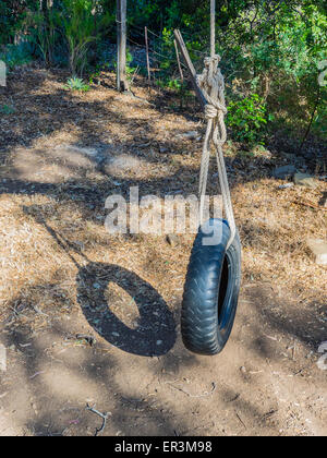 Eine Reifenschaukel wird an einem Baum hängen von einem großen Seil gehalten. Stockfoto