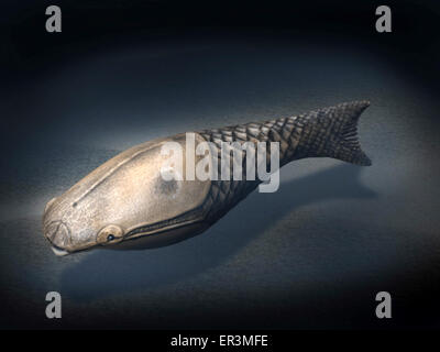 Athenaegis ist eine gepanzerte Fische aus dem Paläozoikum. Stockfoto