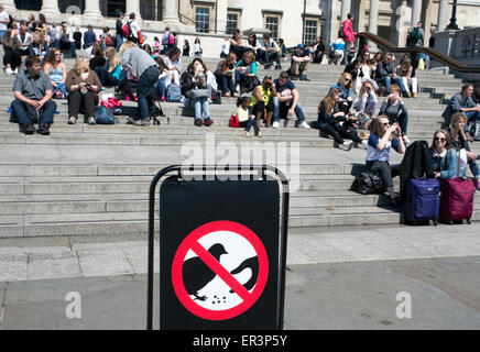 "Nicht die Tauben füttern" Zeichen am Trafalgar Square in London Stockfoto