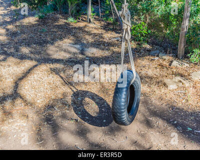 Eine Reifenschaukel wird an einem Baum hängen von einem großen Seil gehalten. Stockfoto