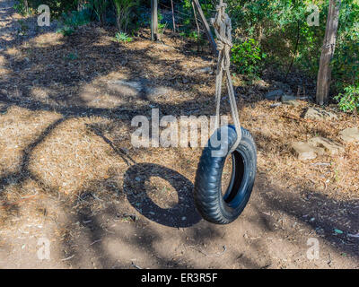 Eine Reifenschaukel wird an einem Baum hängen von einem großen Seil gehalten. Stockfoto