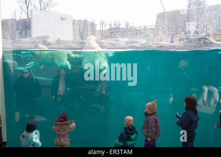 Eisbär-Gehege im Zoo von Kopenhagen mit Besuchern Stockfoto