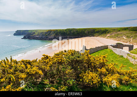 Mit Blick auf den schönen Strand an der Barafundle Bucht auf der Pembrokeshire Coast of South Wales UK Europe Stockfoto