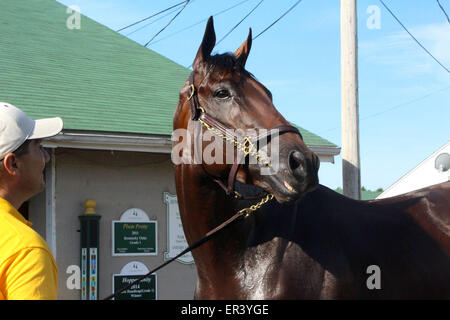 Louisville, KY, USA. 26. Mai 2015. 26. Mai 2015 American Pharao und Hotwalker Juan. Churchill Downs Credit: Mary M. Meek/ESW/CSM/Alamy Live-Nachrichten Stockfoto