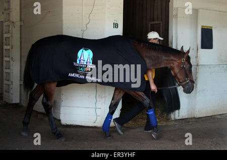 Louisville, KY, USA. 26. Mai 2015. 26. Mai 2015 American Pharao in seinem Kentucky Derby Decke mit Hotwalker Juan. Bildnachweis: Mary M. Meek/ESW/CSM/Alamy Live-Nachrichten Stockfoto