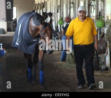 Louisville, KY, USA. 26. Mai 2015. 26. Mai 2015 American Pharao in seinem Kentucky Derby Decke mit Hotwalker Juan. Bildnachweis: Mary M. Meek/ESW/CSM/Alamy Live-Nachrichten Stockfoto