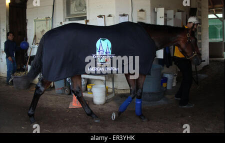 Louisville, KY, USA. 26. Mai 2015. 26. Mai 2015 American Pharao in seinem Kentucky Derby Decke mit Hotwalker Juan. Bildnachweis: Mary M. Meek/ESW/CSM/Alamy Live-Nachrichten Stockfoto