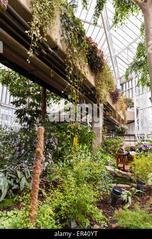 Die Barbican Wintergarten, Glasdach tropischen Gärten und Veranstaltungsort im Barbican Centre in London Stockfoto